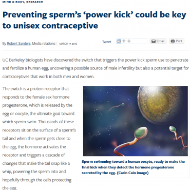 “Preventing sperm’s ‘power kick’ could be key to unisex contraceptive”